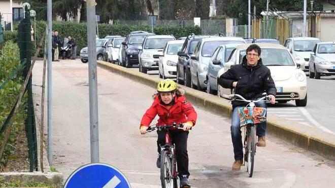 Nuovo piano della mobilità a Prato, bici e bus superstar