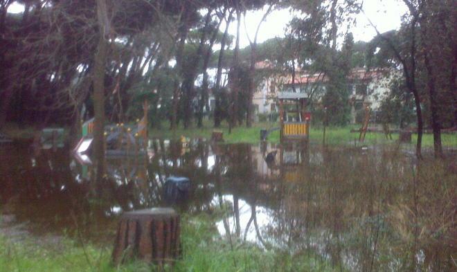 Allerta meteo, vietato entrare in pineta