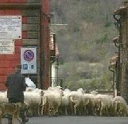 «La geotermia a Montenero? Mai» 