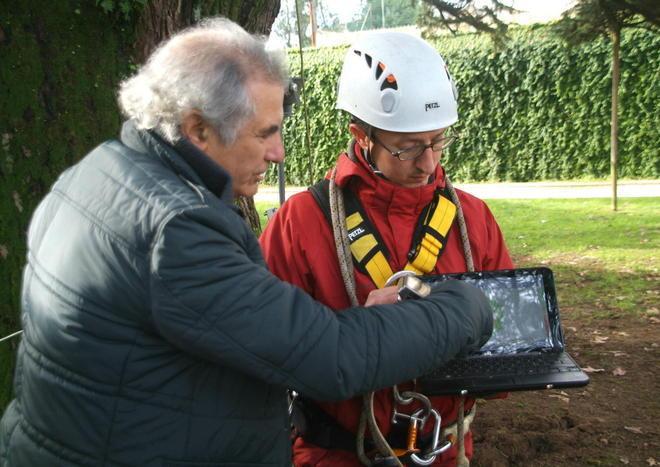 Rischio cancro, agli alberi si fa la Tac 