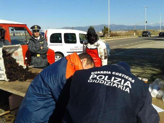 Maxi sequestro di ricci e polpa avariata nei baracchini del Poetto 