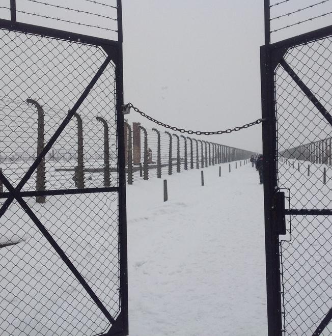 Una giornata di riflessione sulla tragedia della Shoah