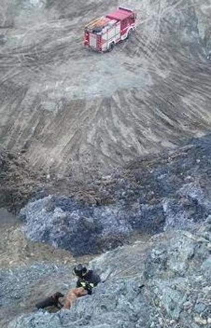 In salvo 2 cani bloccati a 50 metri di altezza 