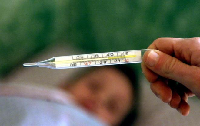 Influenza, centinaia già a letto ma il picco sarà tra quindici giorni 