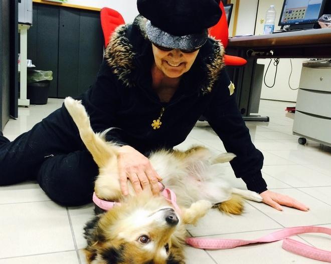 «Sconto sulla Tares a chi adotta un cane con più di cinque anni» 