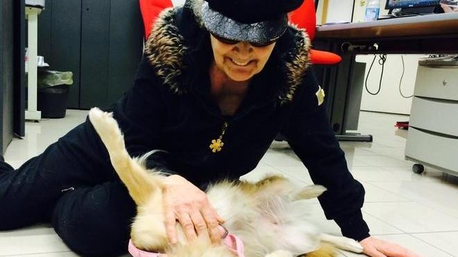 «Sconto sulla Tares a chi adotta un cane con più di cinque anni»