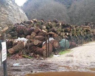 Troppe irregolarità La Regione blocca la discarica delle palme 