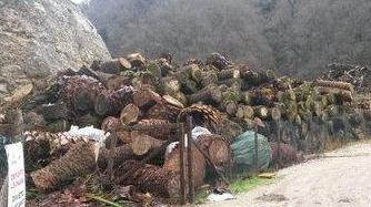 Troppe irregolarità La Regione blocca la discarica delle palme