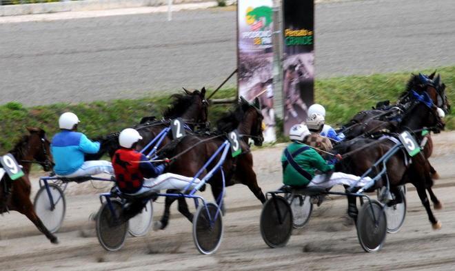 Ai Pini si corre il premio Scuderia Amerigo