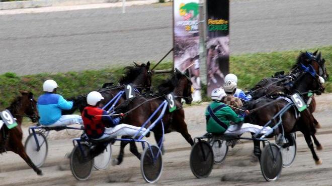 Ai Pini si corre il premio Scuderia Amerigo