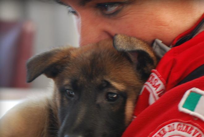 L’ex ad della Bmg Ricordi dona una cucciola alla Cri
