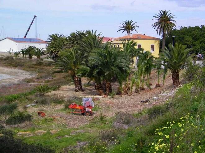 Salvaguardia ambientale, finanziamenti in arrivo 