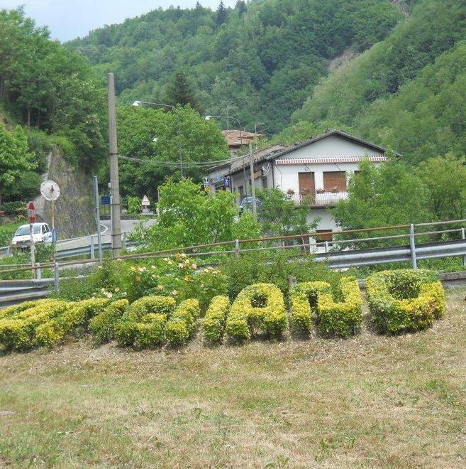 Enel potenzia la rete danneggiata in zona dal maltempo 