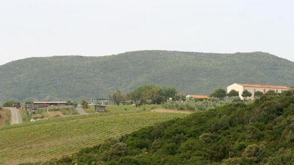 Piazzole per il campeggio sotto il Poggio Pelato