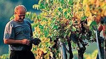 Passione agricoltura a Carmignano corsi già esauriti