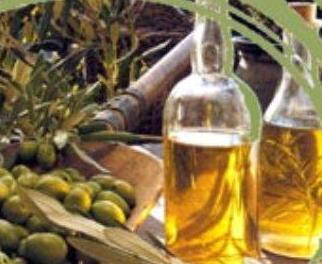 «Contro le frodi sull’olio ai produttori serve la dop» 