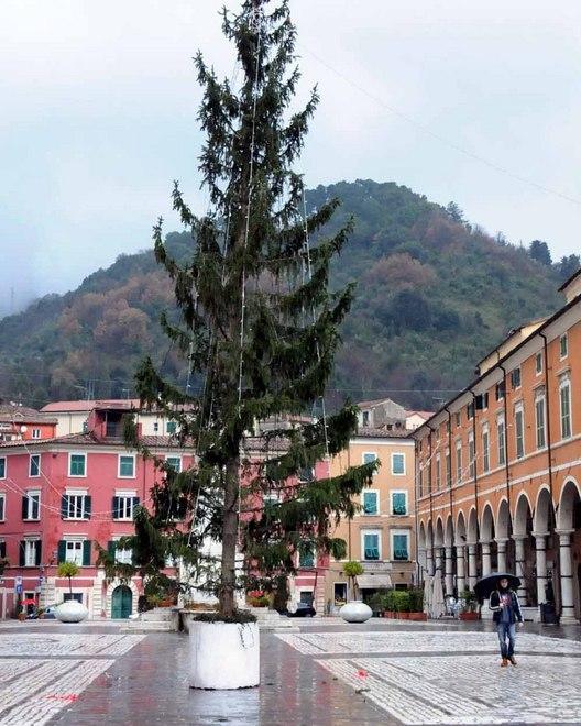 Via gli alberi di Natale dalle piazze 