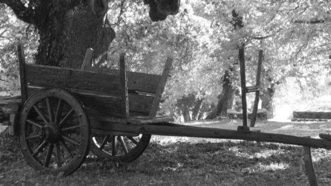 “Sa cumpanzia” di Illorai restaura antico carro a buoi