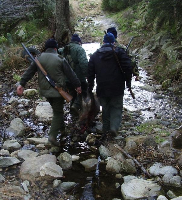 Fucilata al compagno di caccia è scontro tra i consulenti