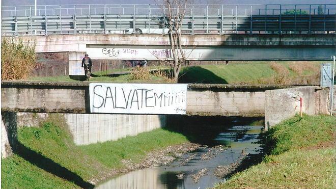Petizione per salvare il ponticino sopra il Fosso di Iolo