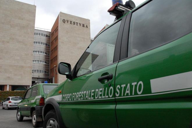 Forestale, 8500 interventi in un anno 