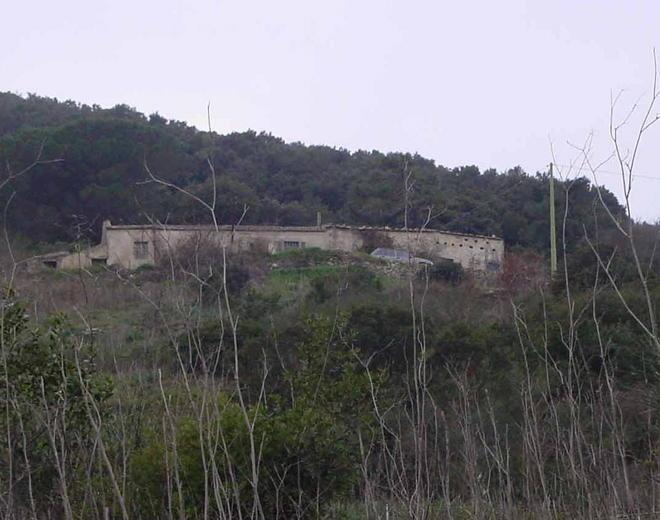 Randagismo, due strutture per rimpiazzare il canile 