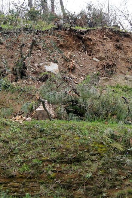 L’M5s chiede più investimenti per la cura del territorio
