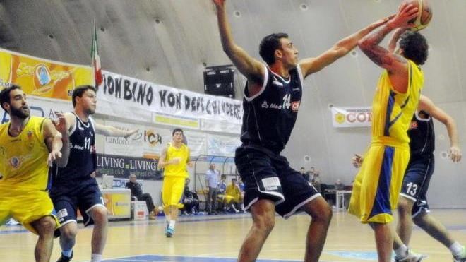 Basket Golfo su di giri ci riprova a Cecina