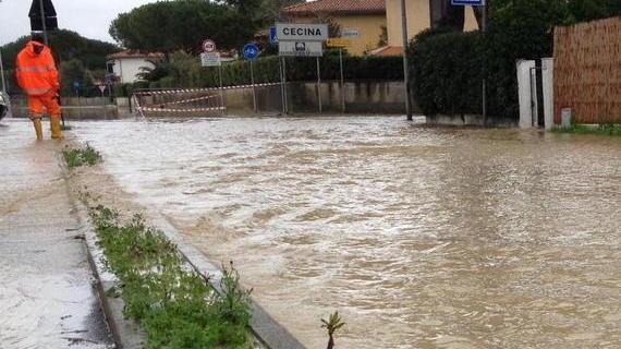 La Forestale riesce a salvare un cavallo e alcuni cani imprigionati