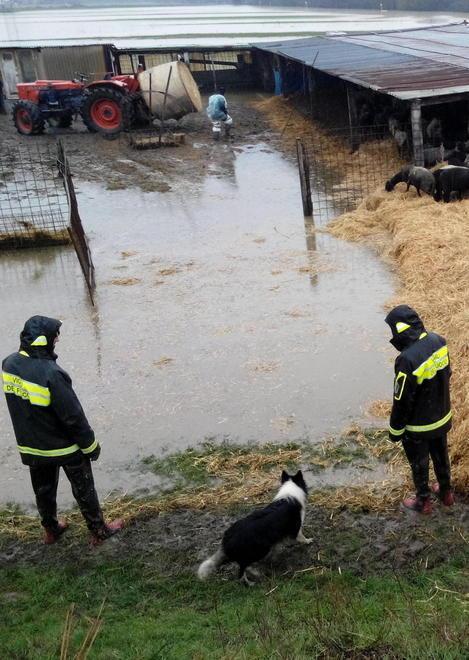 Esplosione di rabbia per le cateratte bloccate 