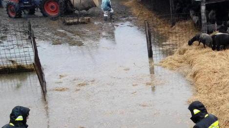 Esplosione di rabbia per le cateratte bloccate