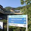 Massa, il Pd prende posizione «Via Maternità dall’Opa» 