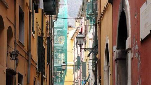 Piante verdi a ogni portone: il decoro urbano è “fai da te”