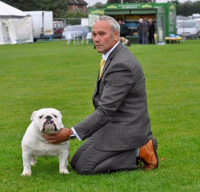 Bulldog pratese Campione di bellezza in Inghilterra: si chiama Johnny Deep 