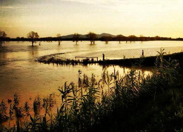 La piena dell’Ombrone vista da Cinzia
