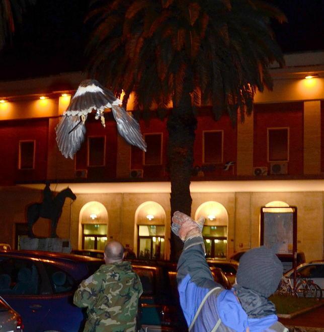 Rocky contro gli storni E il cielo dà spettacolo 