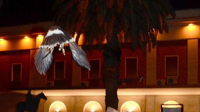 Rocky contro gli storni E il cielo dà spettacolo