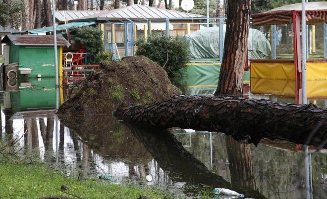 Viale dei Tigli, parziale riapertura 