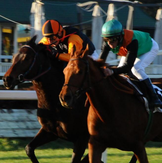 Ippica: Vecchiano guida la classifica generale del Palio dei Comuni