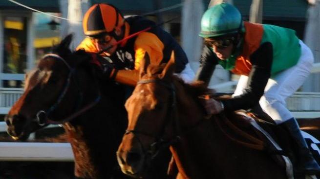 Ippica: Vecchiano guida la classifica generale del Palio dei Comuni