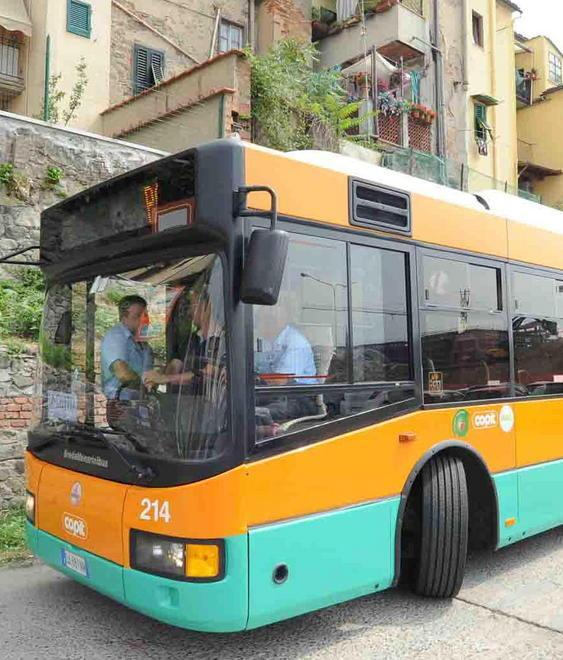 Quei bus-navetta per Pontelungo e lo Zoo