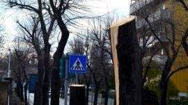 Addio tigli: l’Asl ora chiede chiarimenti
