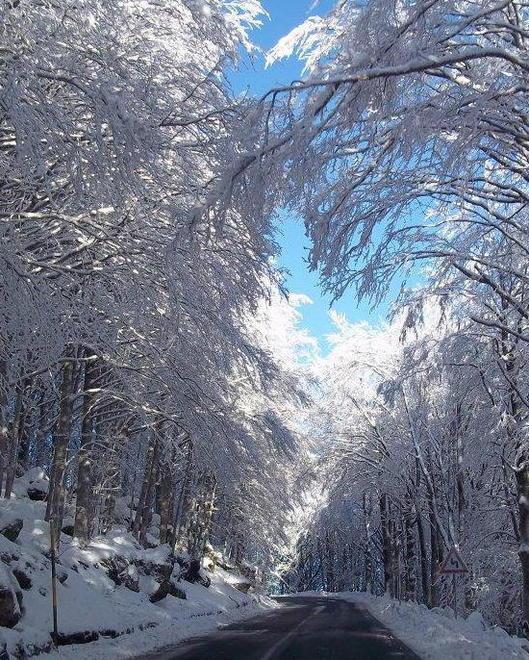 Finalmente neve, impianti aperti 