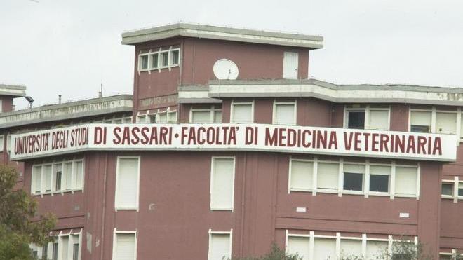 Scure sull’università: Veterinaria ridotta a una classe di liceo 