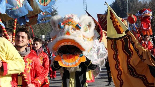 Danzatori, tamburi e il Dragone: le sfilate del Capodanno cinese a Prato