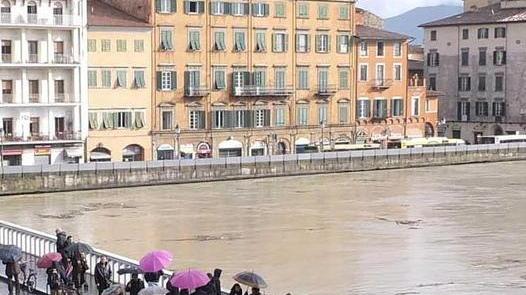 La morsa del maltempo