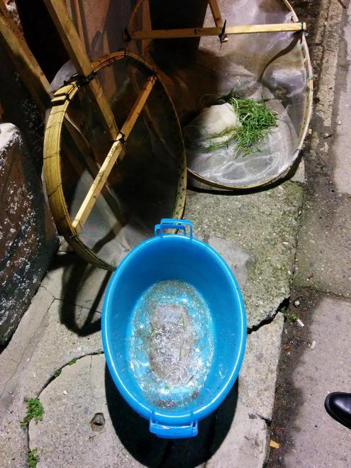 Maxi sequestro di cee, caccia ai pescatori abusivi 