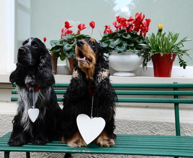 Frasi, messaggi e giri di parole: tutto per dire “ti amo”