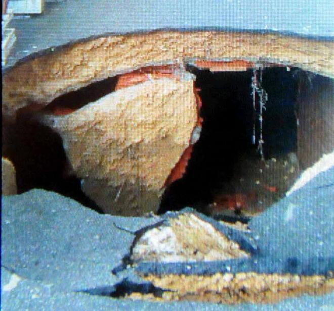 Gioia per la gatta trovata dopo 4 mesi ma è bloccata in casa: scivolo rotto