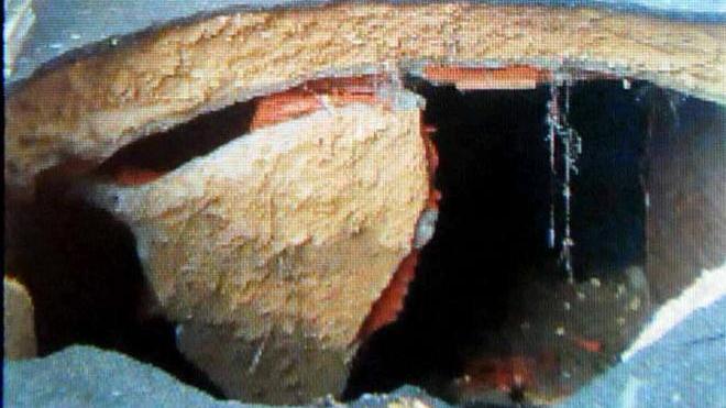 Gioia per la gatta trovata dopo 4 mesi ma è bloccata in casa: scivolo rotto